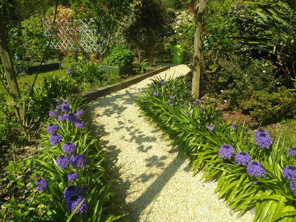 Les Muscaris Bed & Breakfast Le Minihic-sur-Rance Exterior photo